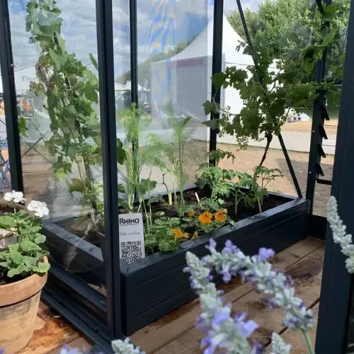 A Rhino Greenhouse contains various plants, including flowers and vines, growing in planters. Nearby are potted plants and a QR code on a leaflet marked RHINO. The setting is outdoors.