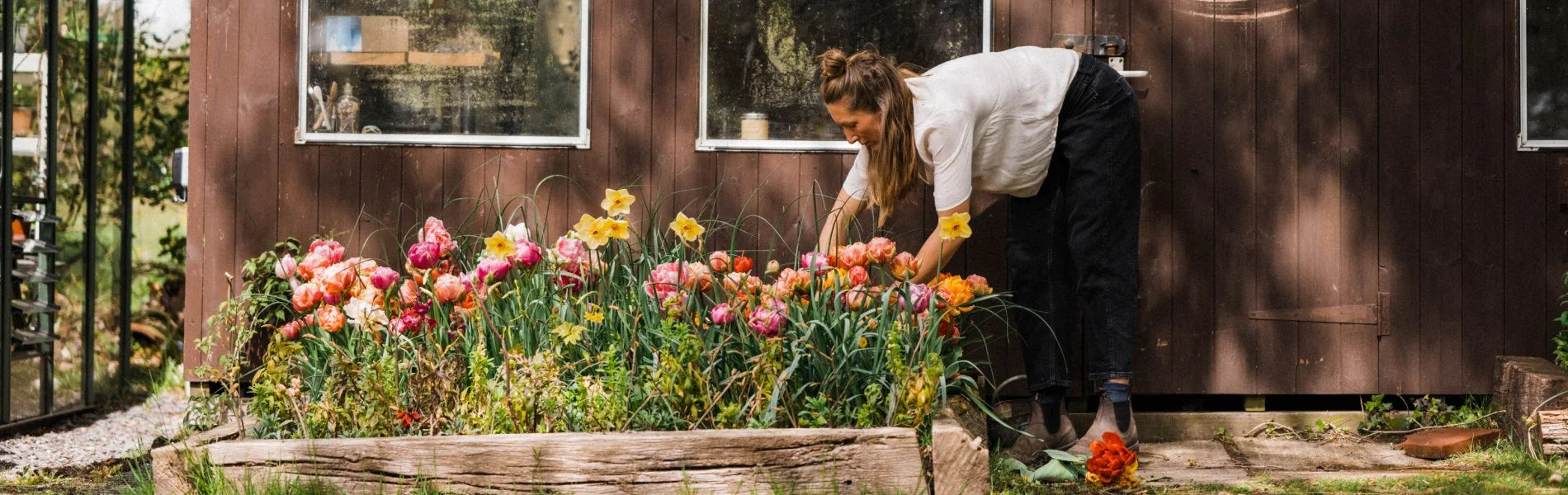 Flowers growing in a raised garden bed