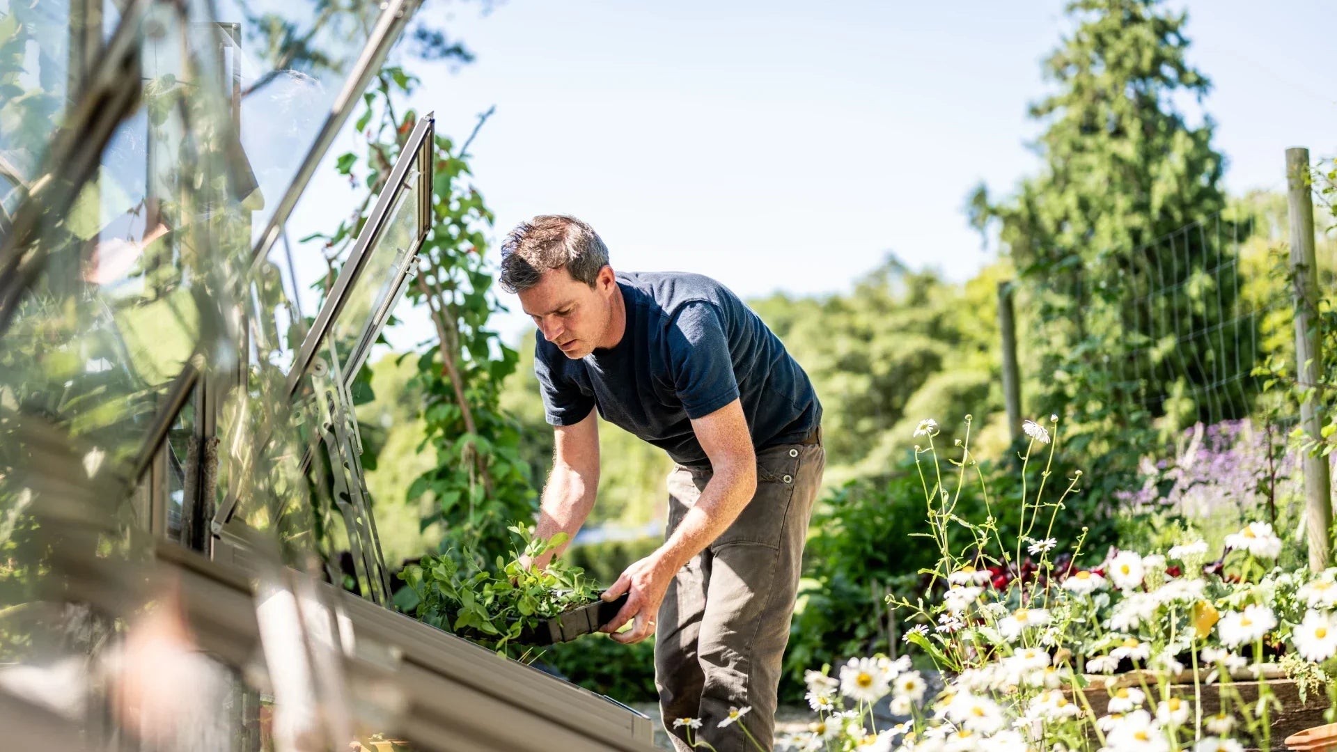 How to create a hay fever allergy friendly garden