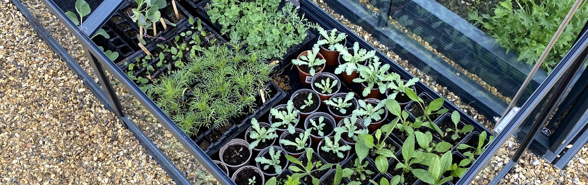 Aerial view of a full cold frame