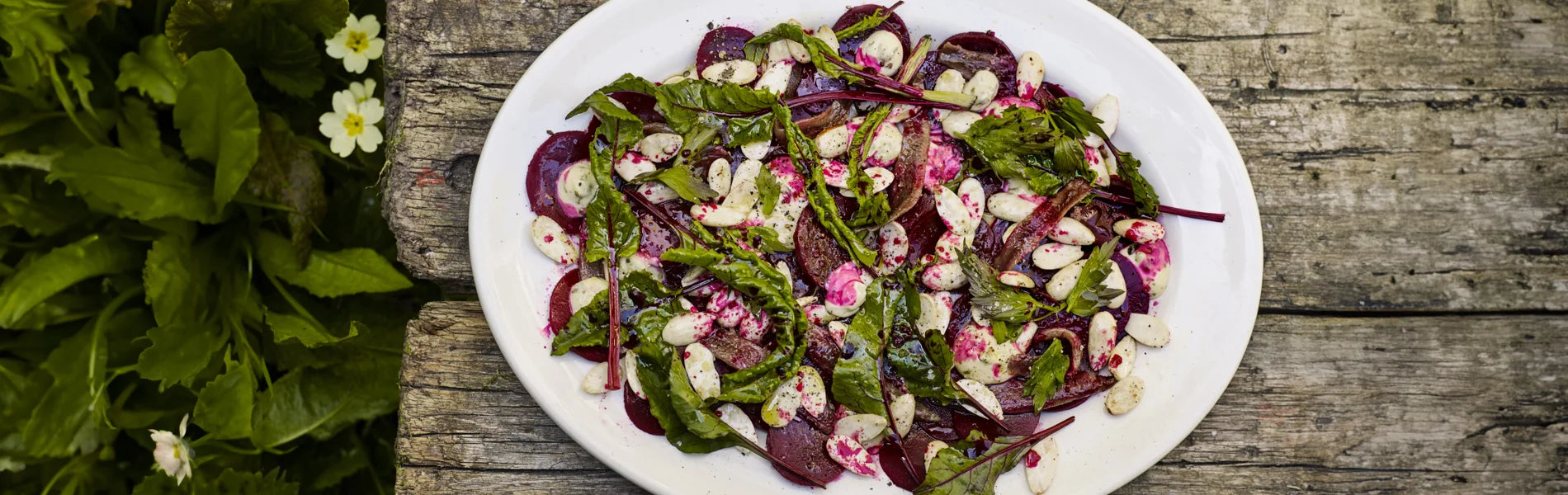 Pickled Beetroot, Almonds, Anchovies and Lovage Mayonnaise