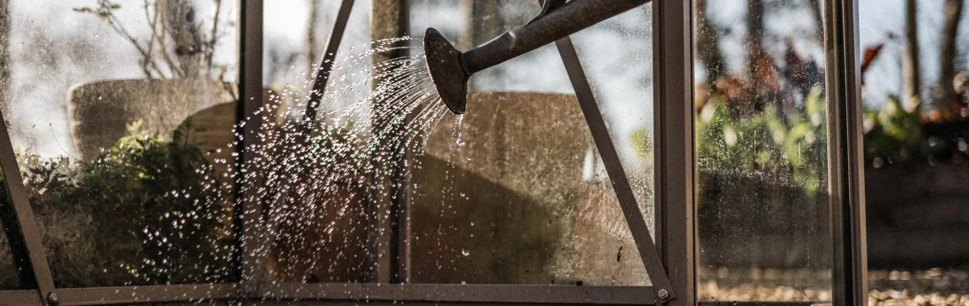 Watering plants in greenhouse