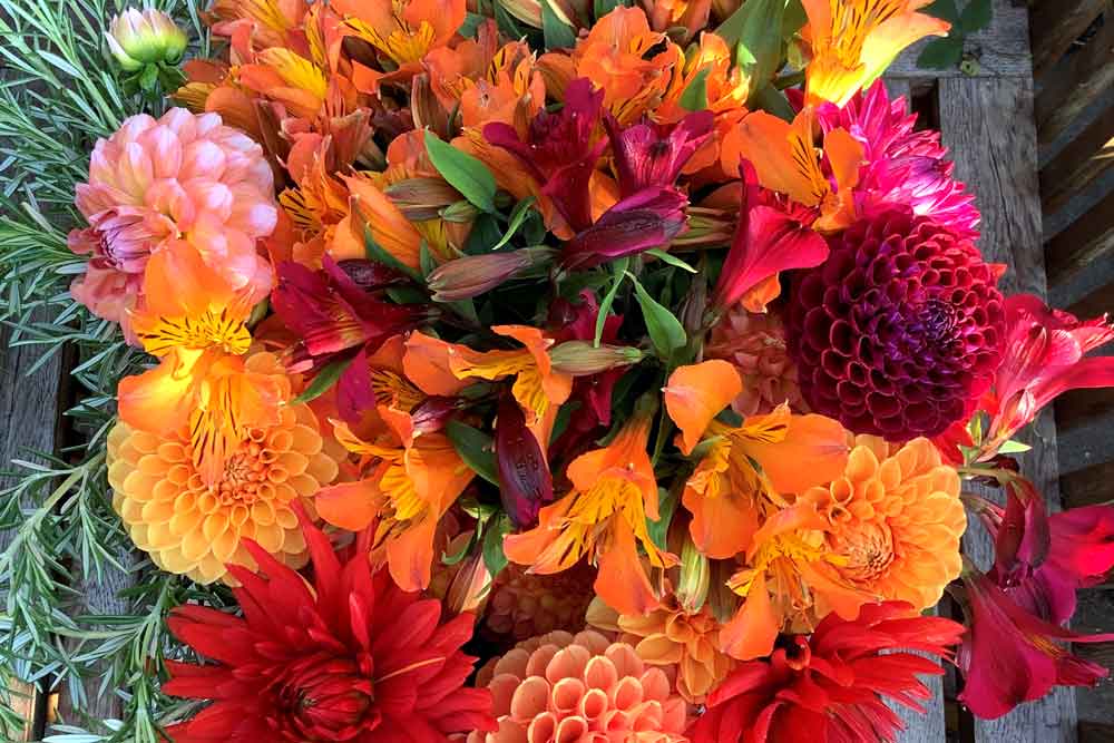 Flower Farmer's Blog: Autumn on the Horizon