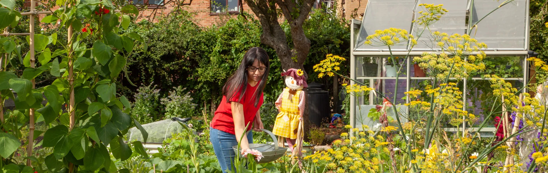 Ellen in her allotment