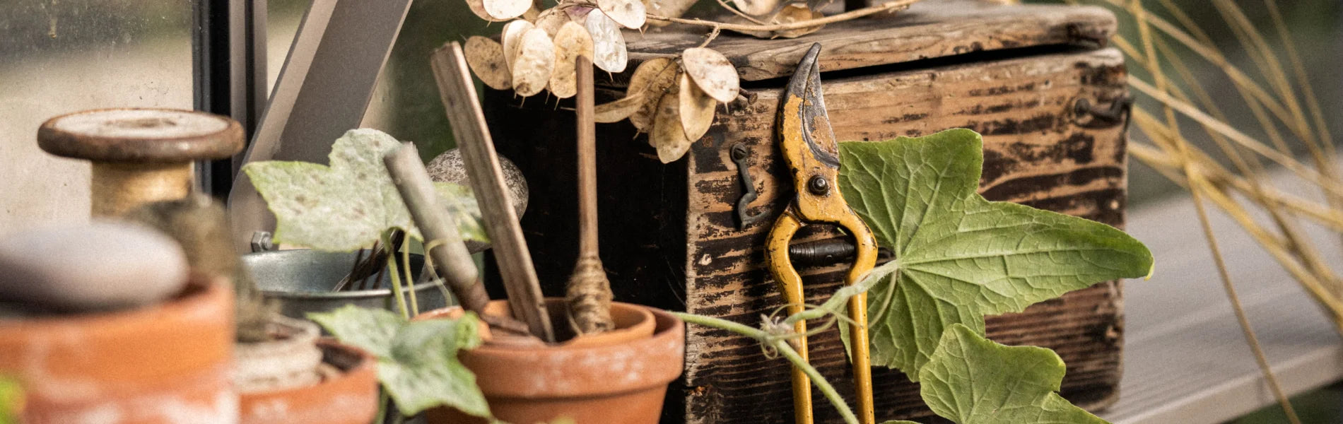 Garden Tools in a pot