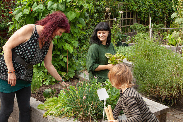 Grapes Hill Community Garden - Kimberley, Fin & Flo