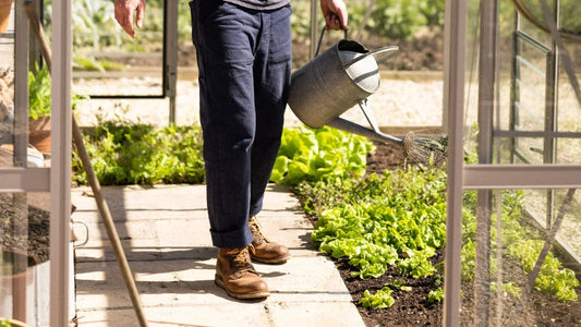 Man watering his greenhouse plants