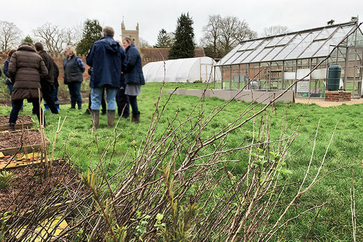 February at Norfolk School of Gardening - Stormy Weather & Spring Prep