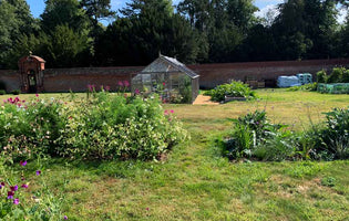 May at Norfolk School of Gardening - Mulching & Watering