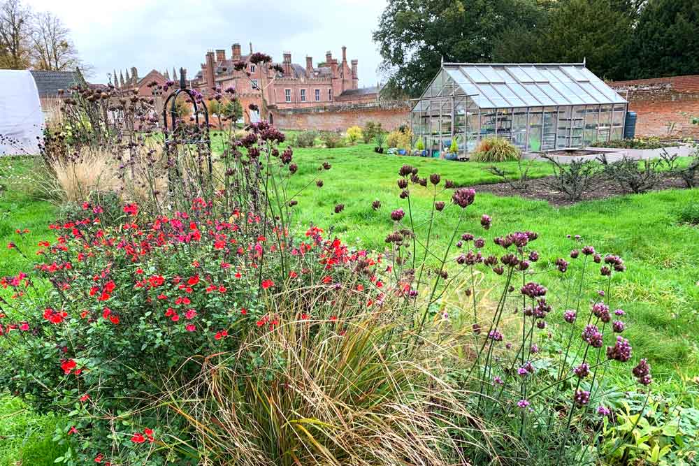 This week from Norfolk School of Gardening - Pruning Courses Available