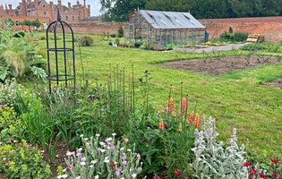 August at Norfolk School of Gardening - Veg Patch & Cutting Garden