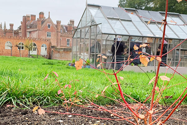 December at Norfolk School of Gardening - Winter Mulching & Christmas Wreathing