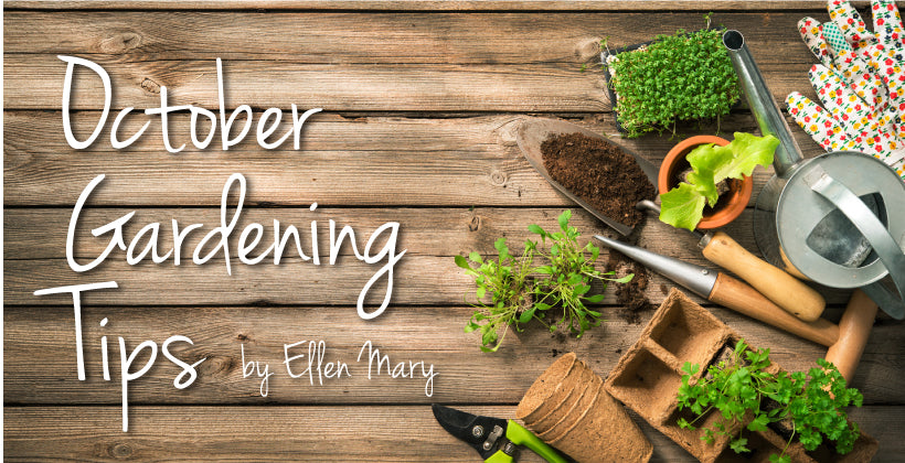 October Gardening Tips