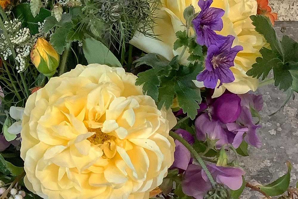 Flower Farmer's Blog: It's all about the Roses