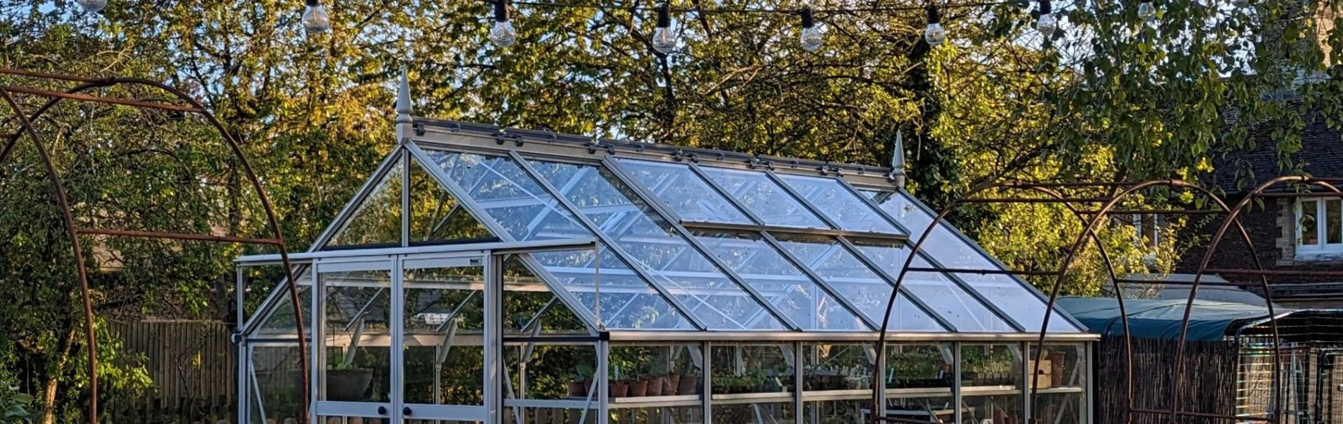 Rhino greenhouse in the shade