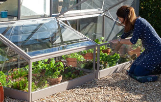 Lady using her Rhino cold frames
