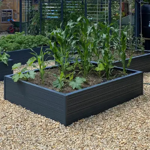 Raised beds on gravel