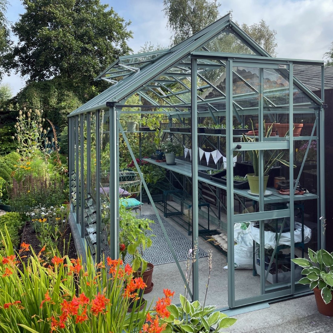 6x12 Rhino greenhouse with bunting