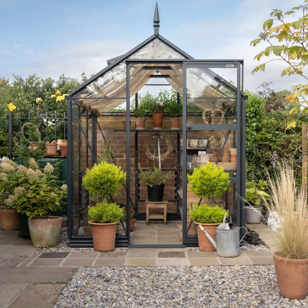 6x6 Premium Rhino Greenhouse Midnight Slate