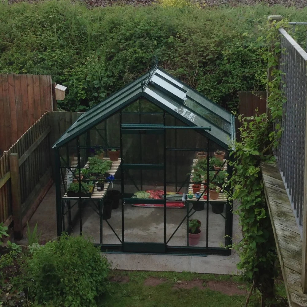 Elite Belmont Greenhouse 6x8