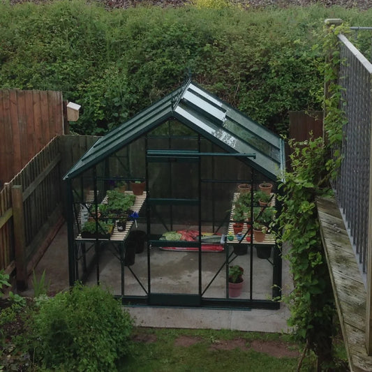 Elite Belmont Greenhouse 6x8