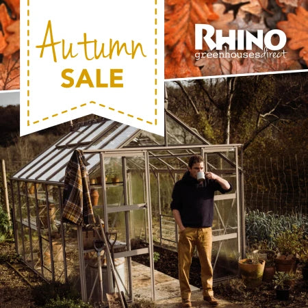 Autumn Sale graphic