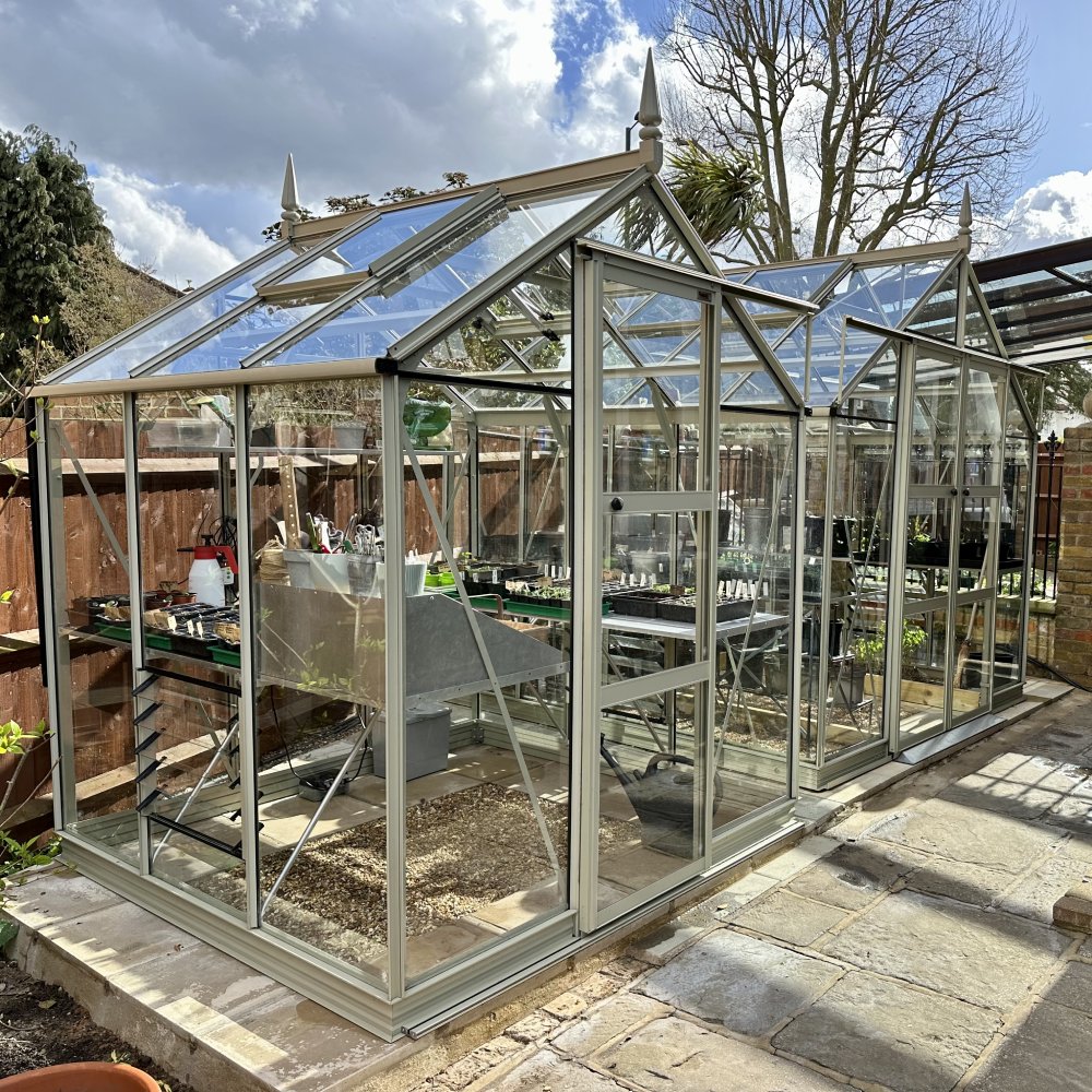 8x6 Premium Greenhouse 