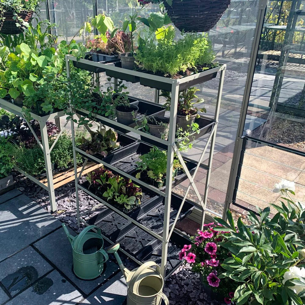 A metal shelf unit holds various potted plants and seedlings inside a Rhino Greenhouse with glass walls. Watering cans and decorative flowers are on the stone floor, enhancing the gardening setting.