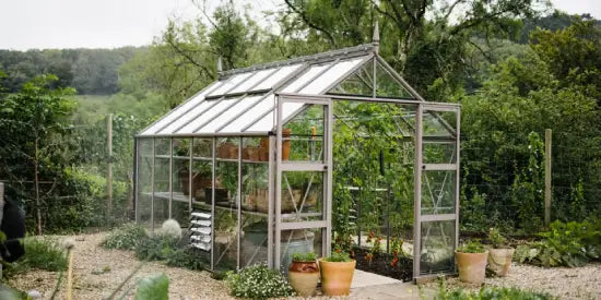 greenhouse in greenery