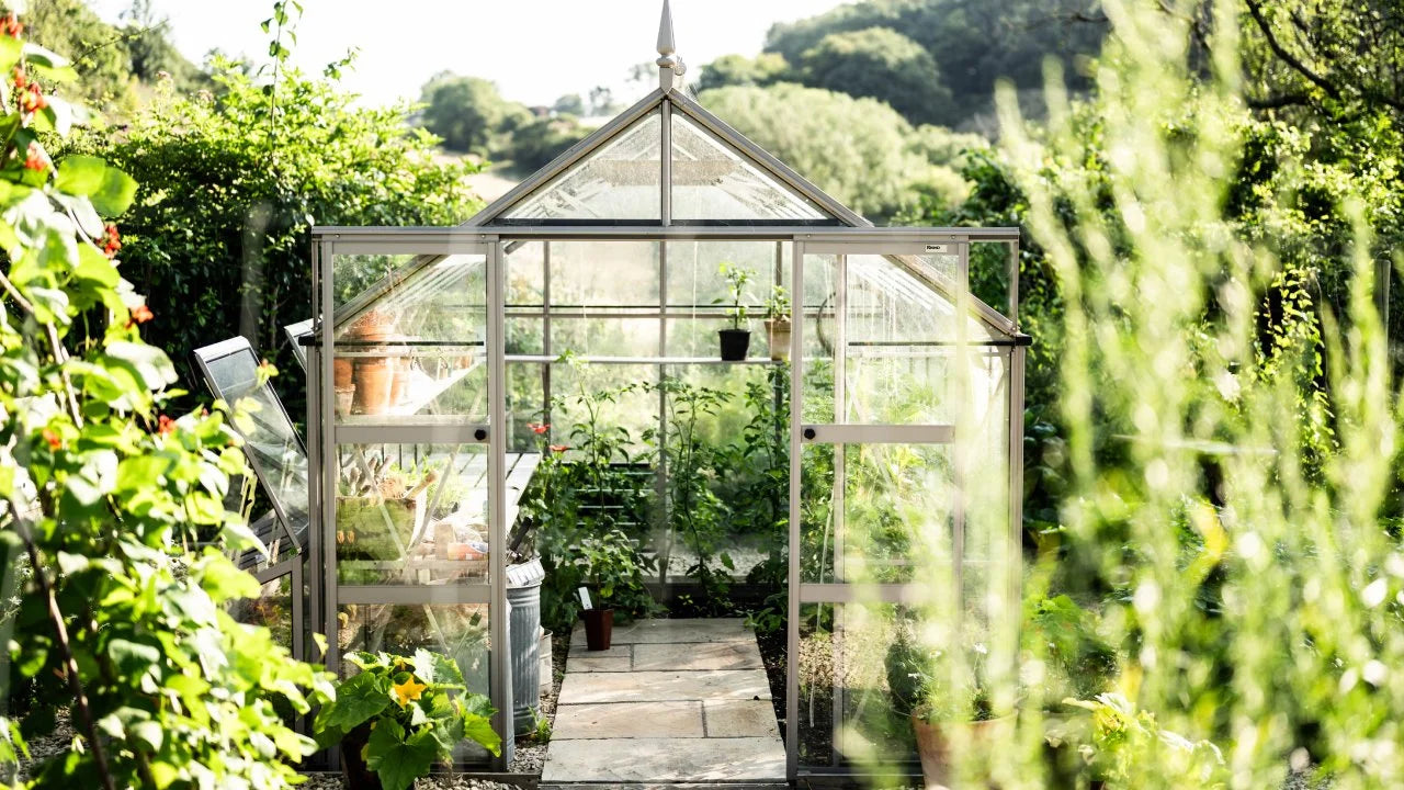 Rhino Greenhouse basking in the summer sun