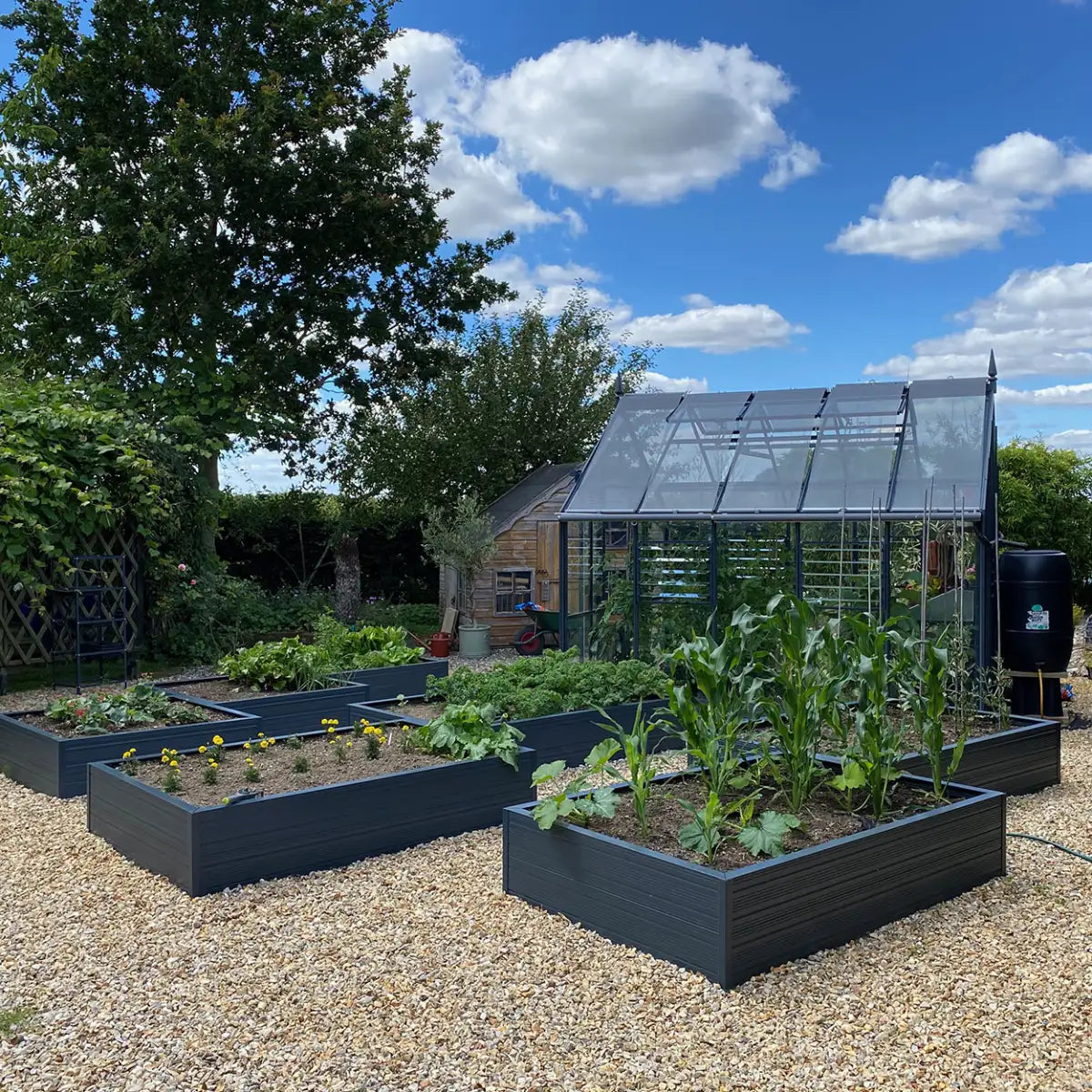 Raised beds group shot