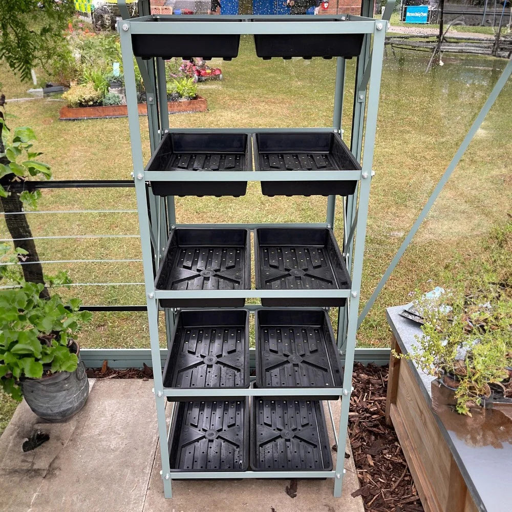 10 Tray seedrack in blue grass