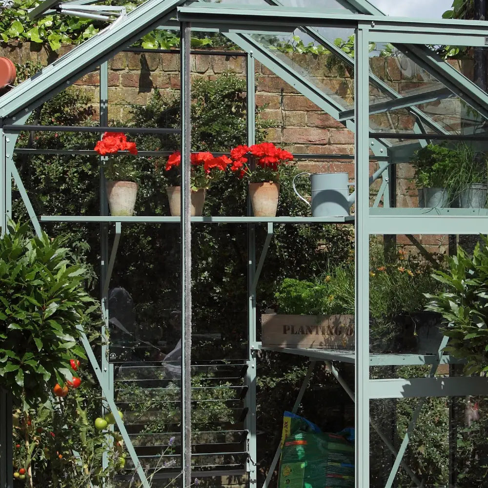 4ft slatted shelf in a Rhino Greenhouse - Blue Grass